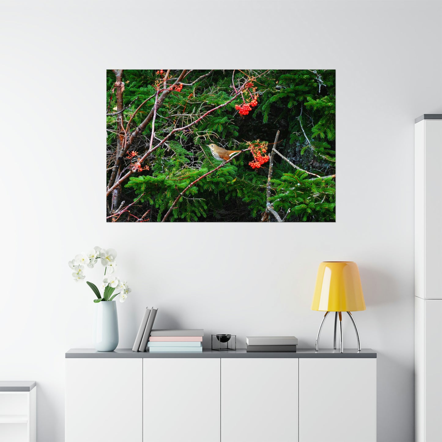 Vermont Forest Bird and Berries Matte Photo Poster