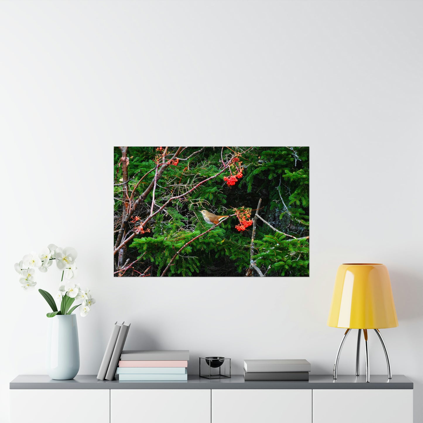 Vermont Forest Bird and Berries Matte Photo Poster