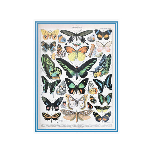 Vintage Butterfly Art Print Satin Poster, Nature Bedroom Wall Art 18" x 24"