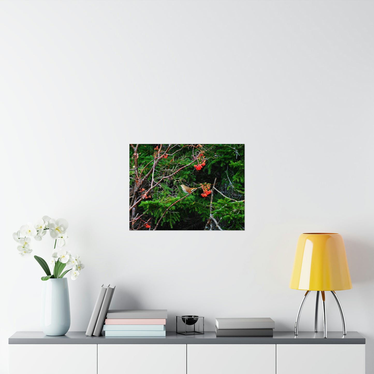 Vermont Forest Bird and Berries Matte Photo Poster